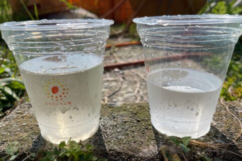 いちご園井戸水実験